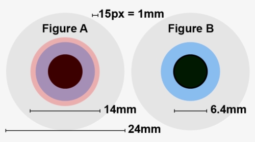 Comparison Of Exit Pupils For Astronomy - Human Eye Diameter, HD Png Download, Transparent PNG