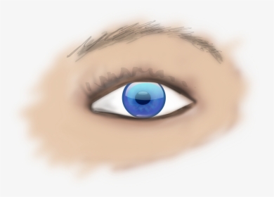 Blue,iris,close Up - Part Of Eye Is Donated, HD Png Download, Transparent PNG