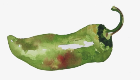 Watercolor By Charmaine Martinez - Habanero Chili, HD Png Download, Transparent PNG