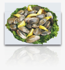 Steamed Clams - Mussel, HD Png Download, Transparent PNG