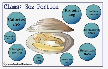 Seafood Nutrition, HD Png Download, Transparent PNG