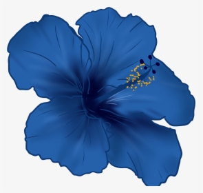 Malvales - Blue Hibiscus Flower Clipart, HD Png Download, Transparent PNG