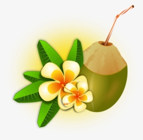 Hawaii Clipart Hawaiian Food - Black Label With Coconut Water, HD Png Download, Transparent PNG