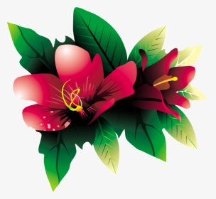 Transparent Tropical Flower Vector, HD Png Download, Transparent PNG