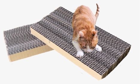 Corrugated Cardboard Rectangle Cat Scratch - Cat Grabs Treat, HD Png Download, Transparent PNG