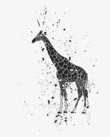 Lion Giraffe Ink Clip Art - Giraffe, HD Png Download, Transparent PNG