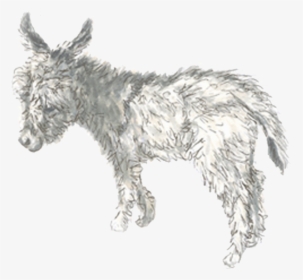 Drawn Donkey Burro - Burro, HD Png Download, Transparent PNG