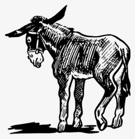 Donkey Drawing Images At - Donkey Clipart Black And White, HD Png Download, Transparent PNG
