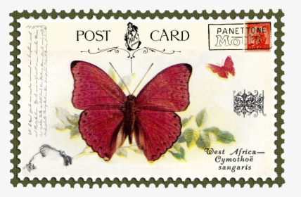 Juno Vintage Butterfly Postage Stamp 5 Mat - Fauna Kupu Kupu Perangko, HD Png Download, Transparent PNG