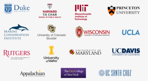 Seal Research Grants Universities Supported - Rutgers University, HD Png Download, Transparent PNG