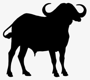 Vector Graphics Clip Art Image Royalty-free Illustration - Water Buffalo Silhouette Clipart, HD Png Download, Transparent PNG