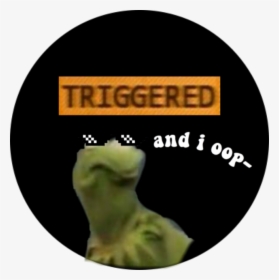 #meme #weirdo #triggeredmeme - Label, HD Png Download, Transparent PNG