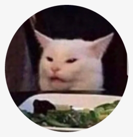 Salad Cat Meme, HD Png Download, Transparent PNG