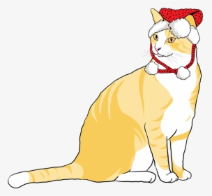 Cat, Christmas Cat, Animal, Pet, Christmas, Cute - Cat Yawns, HD Png Download, Transparent PNG