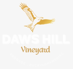 Transparent Vineyard Vines Png - Hawk, Png Download, Transparent PNG
