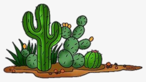 #cactus #desert - Transparent Desert Cactus Clipart, HD Png Download, Transparent PNG