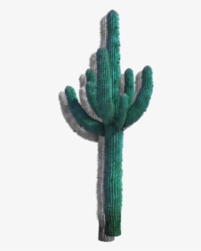 Desert Cactus , Png Download - Acanthocereus Tetragonus, Transparent Png, Transparent PNG