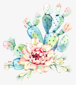 #cactus #flower #watercolor #art #desert - Cactus, HD Png Download, Transparent PNG