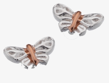 Silver Butterfly Studs With Rose Gold By Sea Gems - Zebra Swallowtail, HD Png Download, Transparent PNG