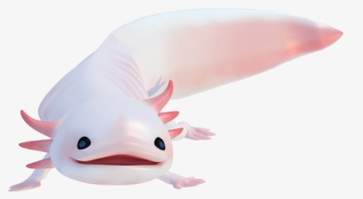 Axolotl Png 6 » Png Image - Transparent Axolotl Png, Png Download, Transparent PNG