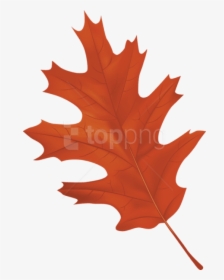 Free Png Download Brown Autumn Leaf Clipart Png Photo - Autumn Leaf Png Clipart, Transparent Png, Transparent PNG