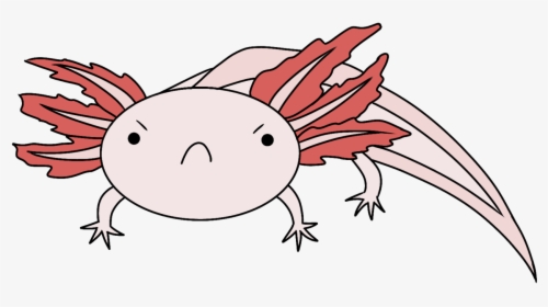 Image - Drawing Sad Axolotl, HD Png Download, Transparent PNG