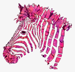 Pink Zebra T-shirt - Cartoon Pink Zebra, HD Png Download, Transparent PNG