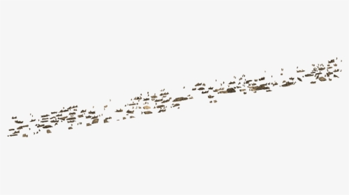 Flock, HD Png Download, Transparent PNG