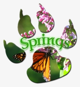 Spring Paw Print By Ariasnow - Monarch Butterfly, HD Png Download, Transparent PNG