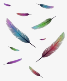 Floating Feathers Png - Floating Colourful Feather, Transparent Png, Transparent PNG