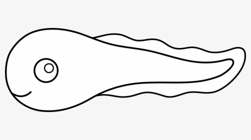 Eggs Clipart Tadpole - Draw A Tadpole Easy, HD Png Download, Transparent PNG