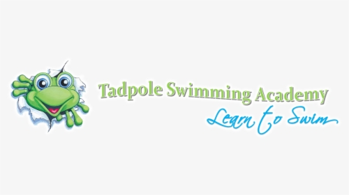 Tadpole - Calligraphy, HD Png Download, Transparent PNG