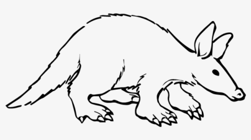 Aardvark Black And White, HD Png Download, Transparent PNG