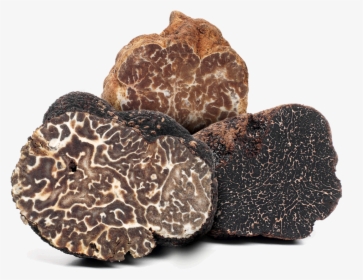 What Is A Truffle - Truffle Mushrooms, HD Png Download, Transparent PNG