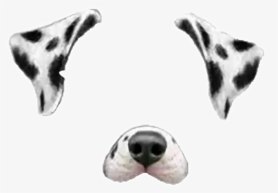 #snap #snapchat #dog #dalmata #tumblr #rose #cute #corazon - Snapchat Filters Dog, HD Png Download, Transparent PNG