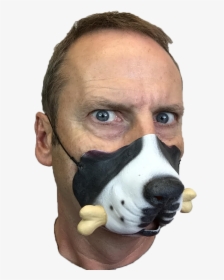 Transparent Horse Head Mask Png - Face Mask For Dog, Png Download, Transparent PNG