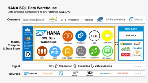 Components Of Sap Sql Data Warehousing, HD Png Download, Transparent PNG