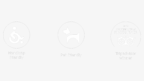Circle, HD Png Download, Transparent PNG