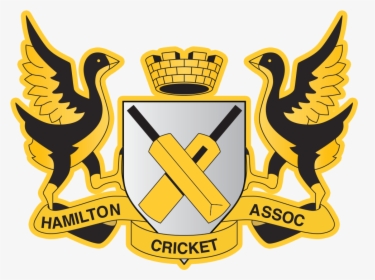 New Logo For Cricket Team, HD Png Download, Transparent PNG