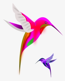 Bird Clip Art - Hummingbird Clipart, HD Png Download, Transparent PNG