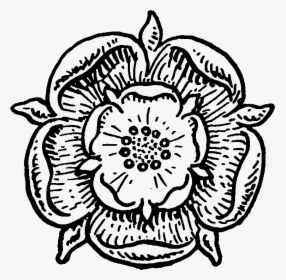Rose Black And White Clipart Design - Medieval Flowers Drawing, HD Png Download, Transparent PNG