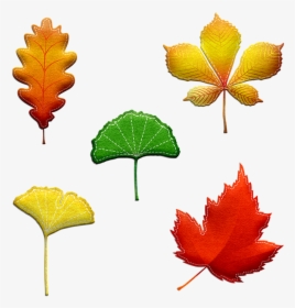 Autumn Leaves, Felted And Stitched, Leaves, Fall - Tree Leaf, HD Png Download, Transparent PNG