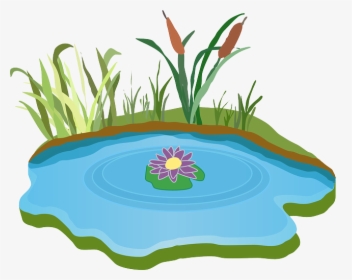 Water Clipart Pond - Lake Clipart, HD Png Download, Transparent PNG