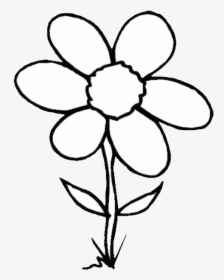 Flower Cliparts Black - Clipart Flower Drawing Black And White, HD Png Download, Transparent PNG