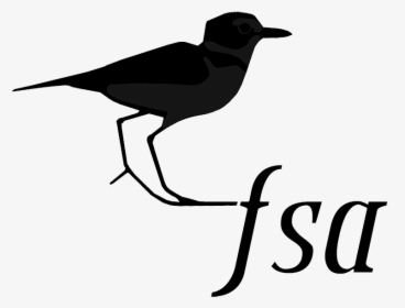 Bird, HD Png Download, Transparent PNG