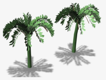 Transparent 3d Palm Tree Png - Palm Tree 3d Design, Png Download, Transparent PNG