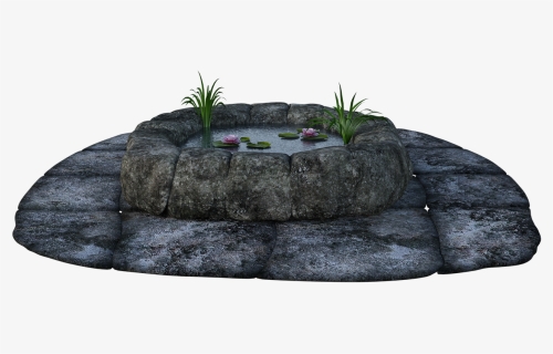 Stone, Pond, Grass, Water, Lily Pads, Fish, Wishing - Outcrop, HD Png Download, Transparent PNG