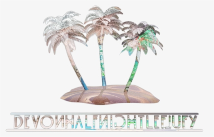 3d Palm Tree - Desert Palm, HD Png Download, Transparent PNG