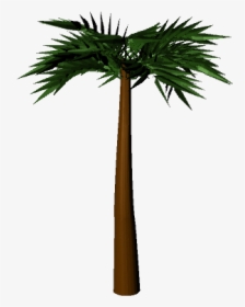 Palm Tree - 3d Palm Tree, HD Png Download, Transparent PNG
