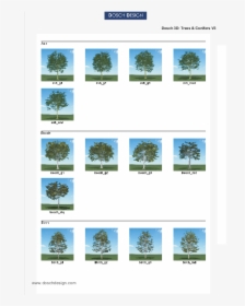 Tree, HD Png Download, Transparent PNG